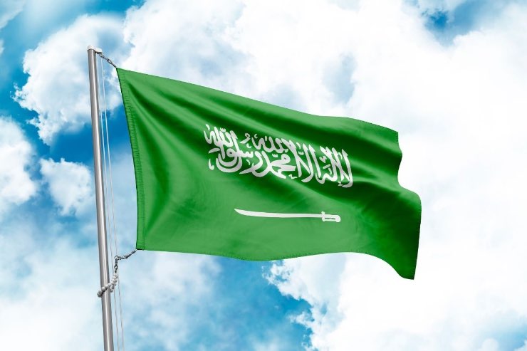 bill gates elon musk saud famiglia