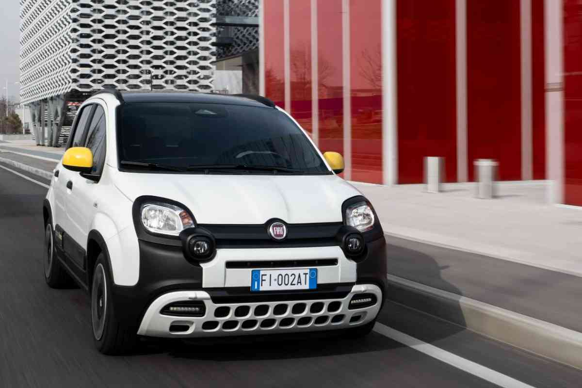 FIAT Pandina domina in Italia