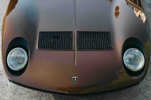 Caratteristiche speciali Miura