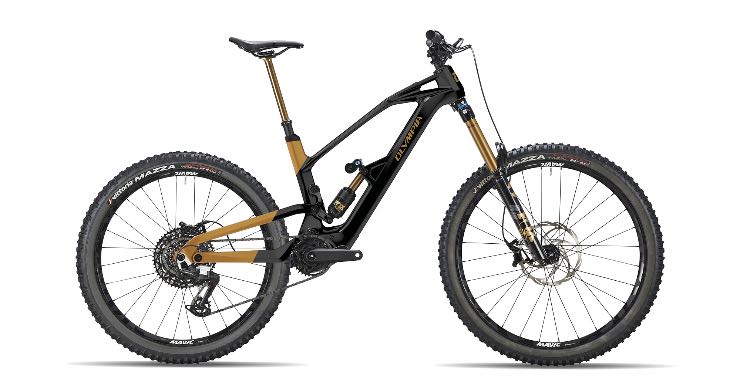 olympia hekton motore ebike
