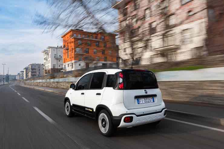 FIAT Pandina al top in Italia